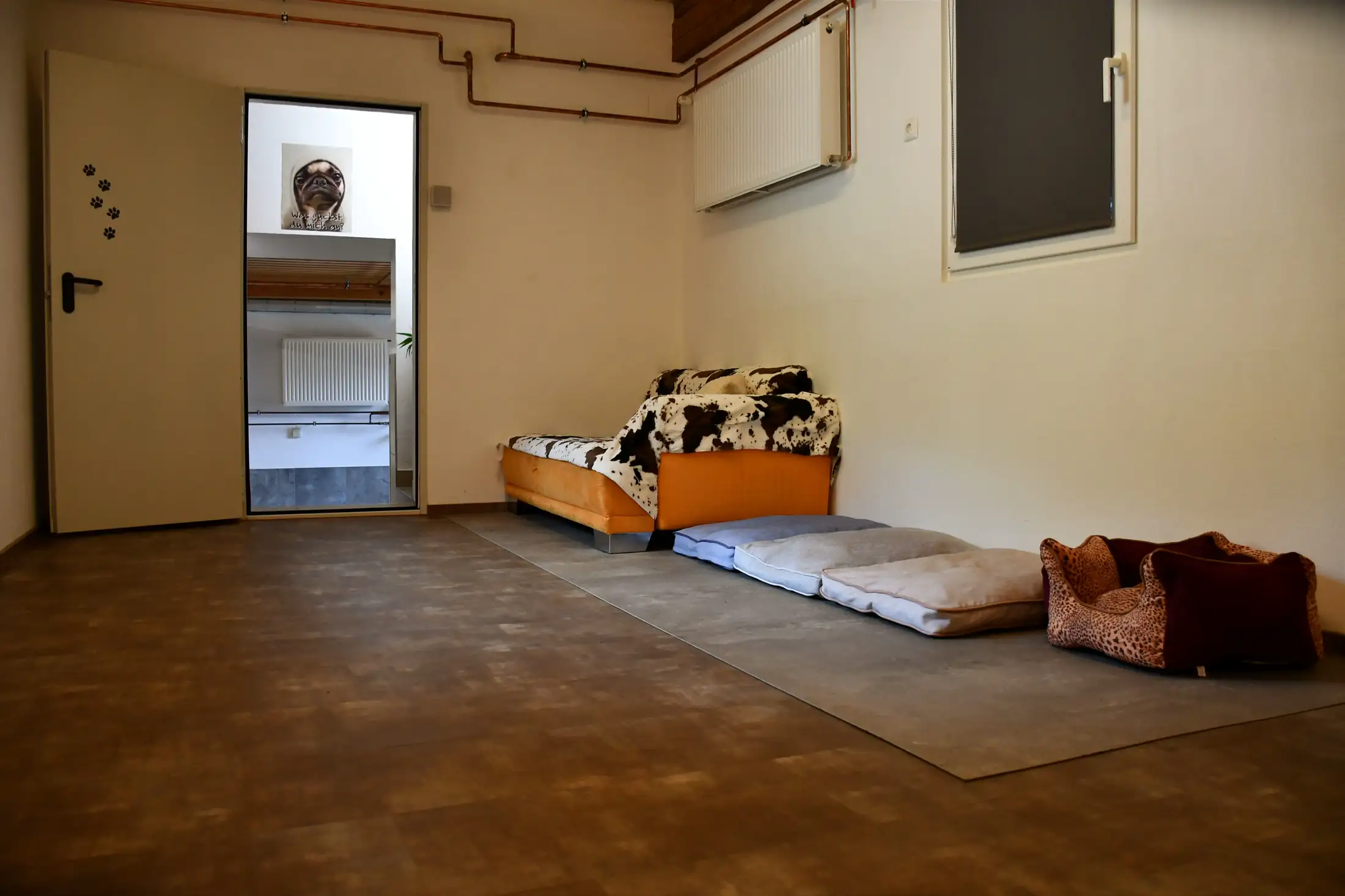 Gallery image 4